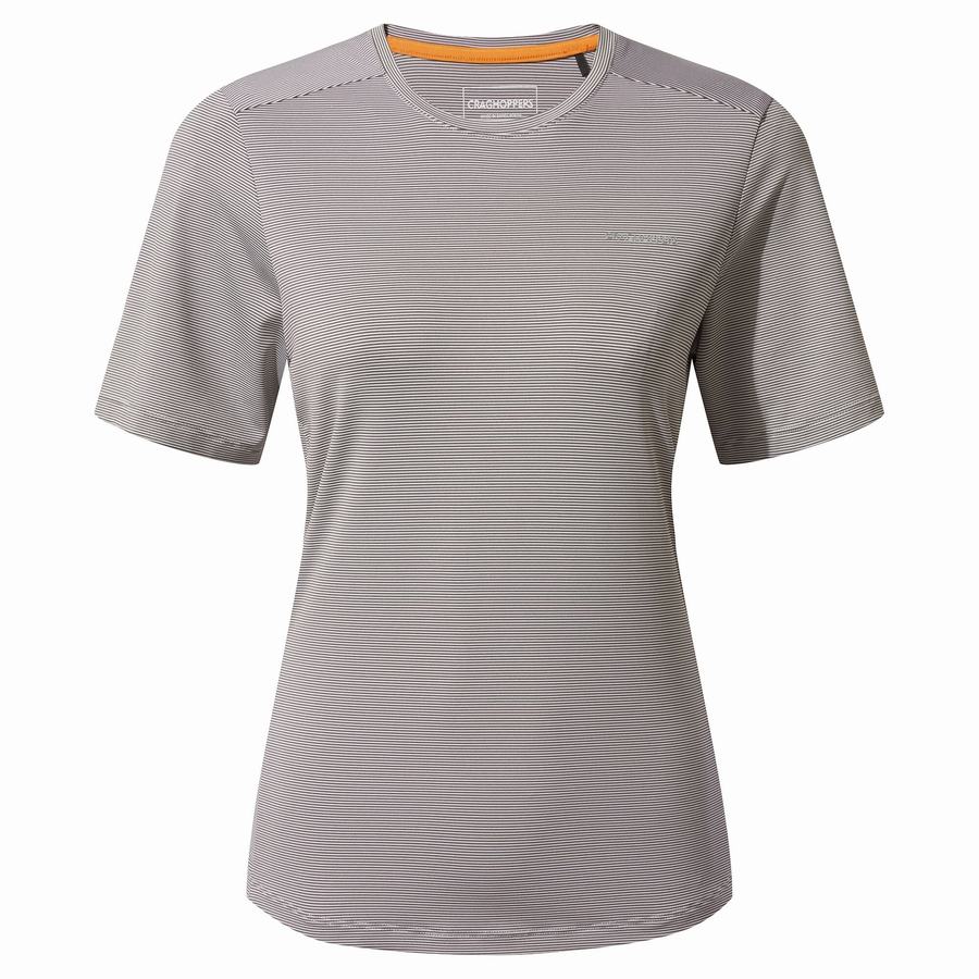 Craghoppers Aliso Kort Sleeved T-shirts Dame Grå | QRP60100QJ