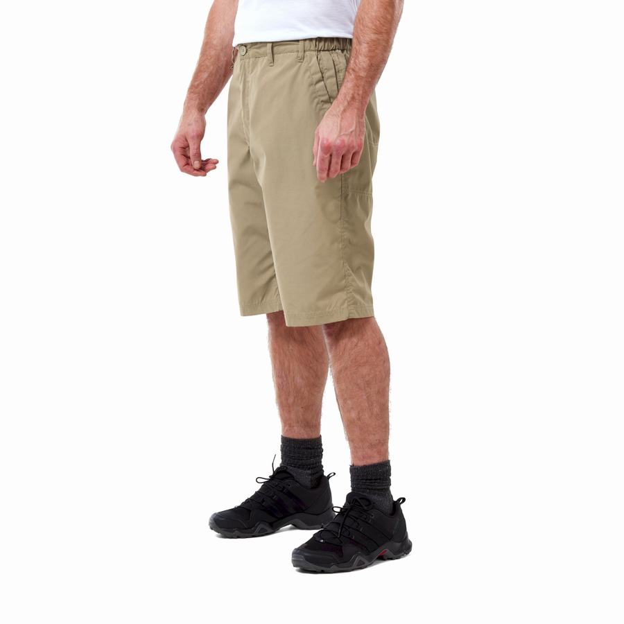 Craghoppers Kiwi Long Shorts Herre Khaki | AME7127GJ
