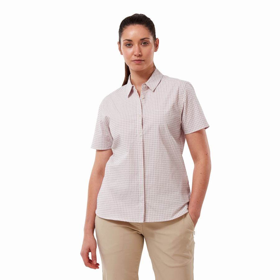 Craghoppers Nasima Kort Sleeved Skjorter Dame Lilla | OKS6338IM