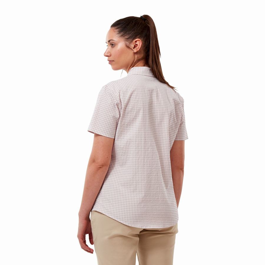 Craghoppers Nasima Kort Sleeved Skjorter Dame Lilla | OKS6338IM