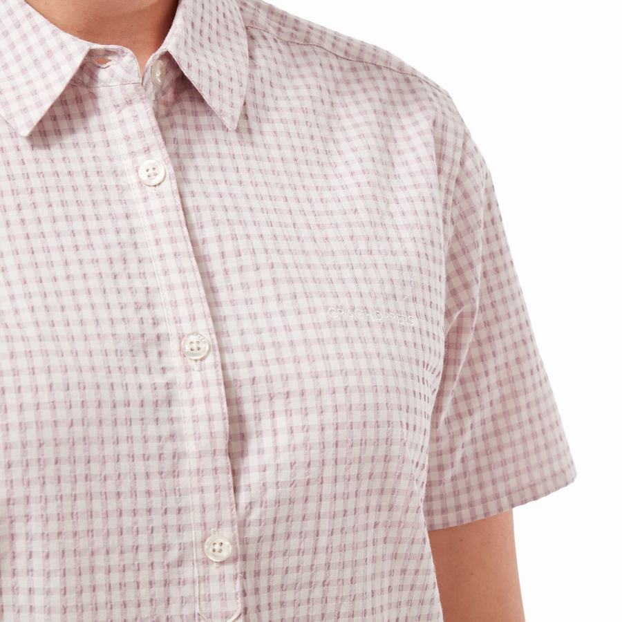 Craghoppers Nasima Kort Sleeved Skjorter Dame Lilla | OKS6338IM