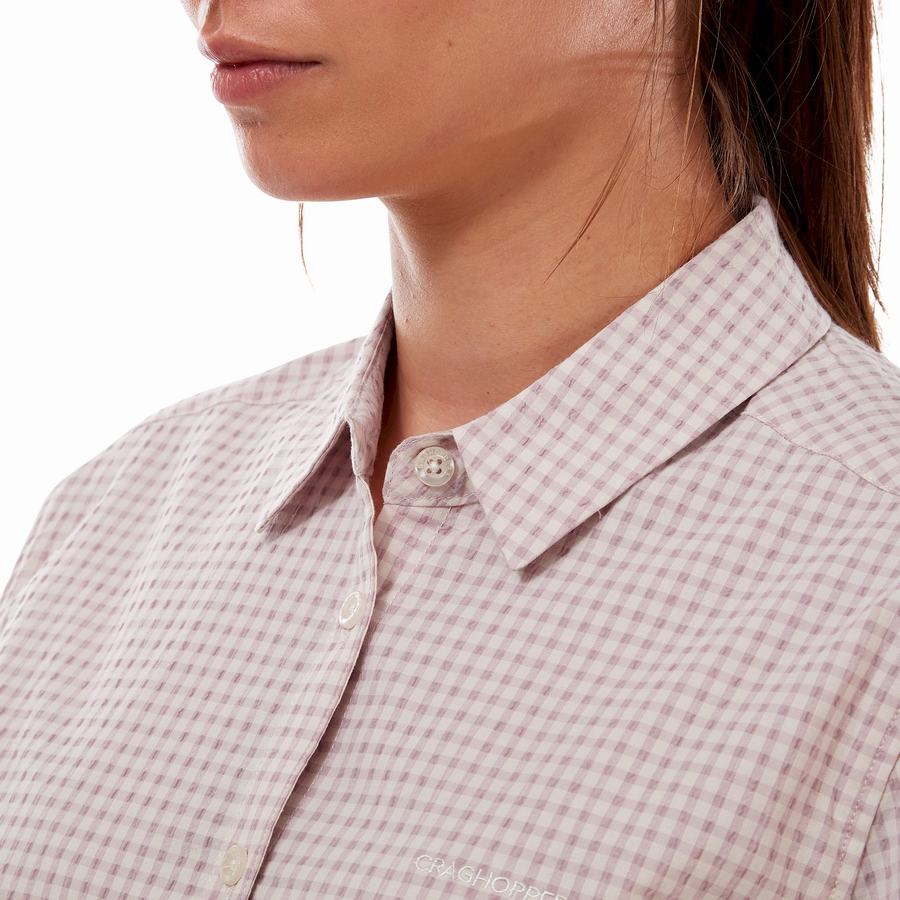 Craghoppers Nasima Kort Sleeved Skjorter Dame Lilla | OKS6338IM