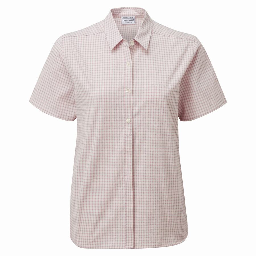 Craghoppers Nasima Kort Sleeved Skjorter Dame Lilla | OKS6338IM