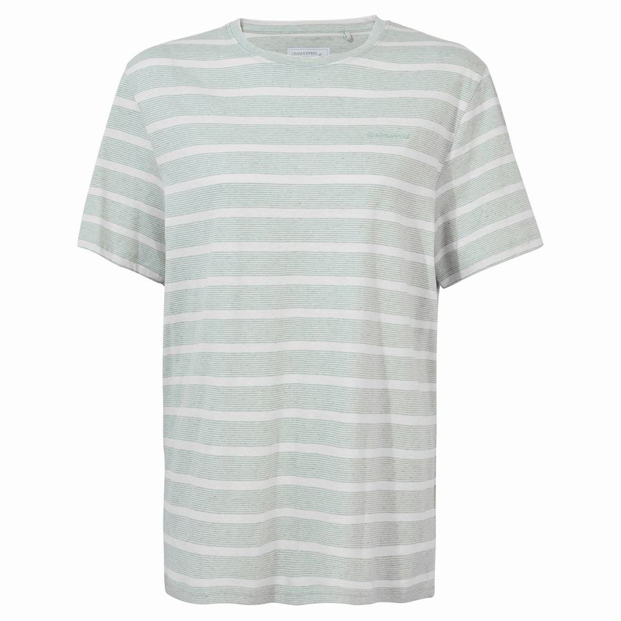 Craghoppers Nosibotanical Sten Kort Sleeved T-shirts Herre Grøn Striber | AJS9241EN