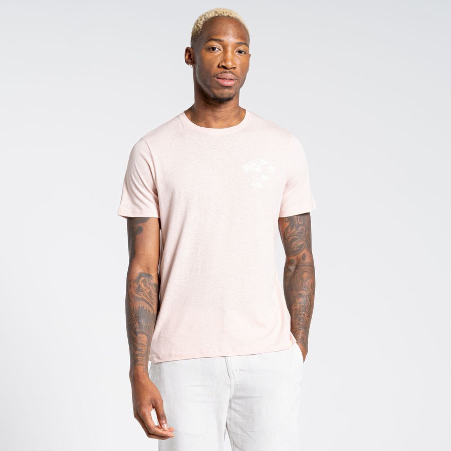 Craghoppers Nosibotanical Sten Kort Sleeved T-shirts Herre Lyserød | ZIN2032RQ