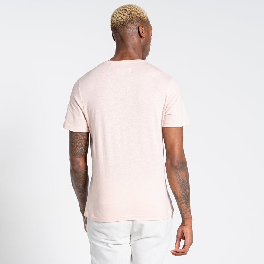 Craghoppers Nosibotanical Sten Kort Sleeved T-shirts Herre Lyserød | ZIN2032RQ