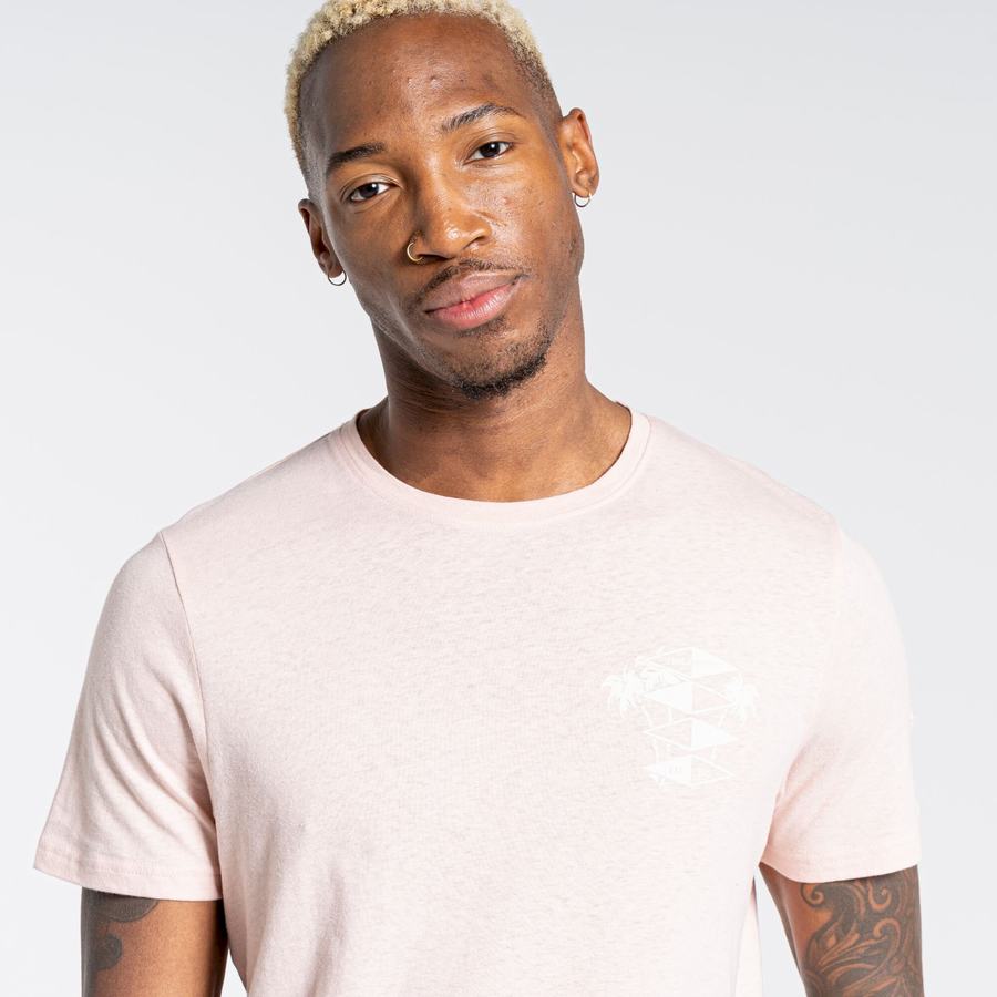 Craghoppers Nosibotanical Sten Kort Sleeved T-shirts Herre Lyserød | ZIN2032RQ